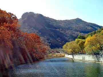2025新澳门天天彩资料查询,澳门彩票文化的发展与展望，聚焦2025新澳门天天彩资料查询
