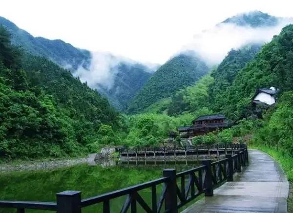 快评 第270页