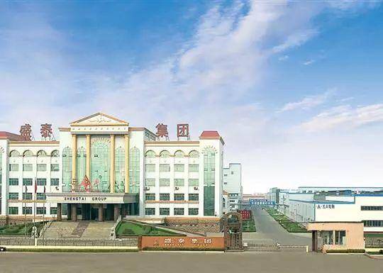 东营盛泰集团最新情况深度解析
