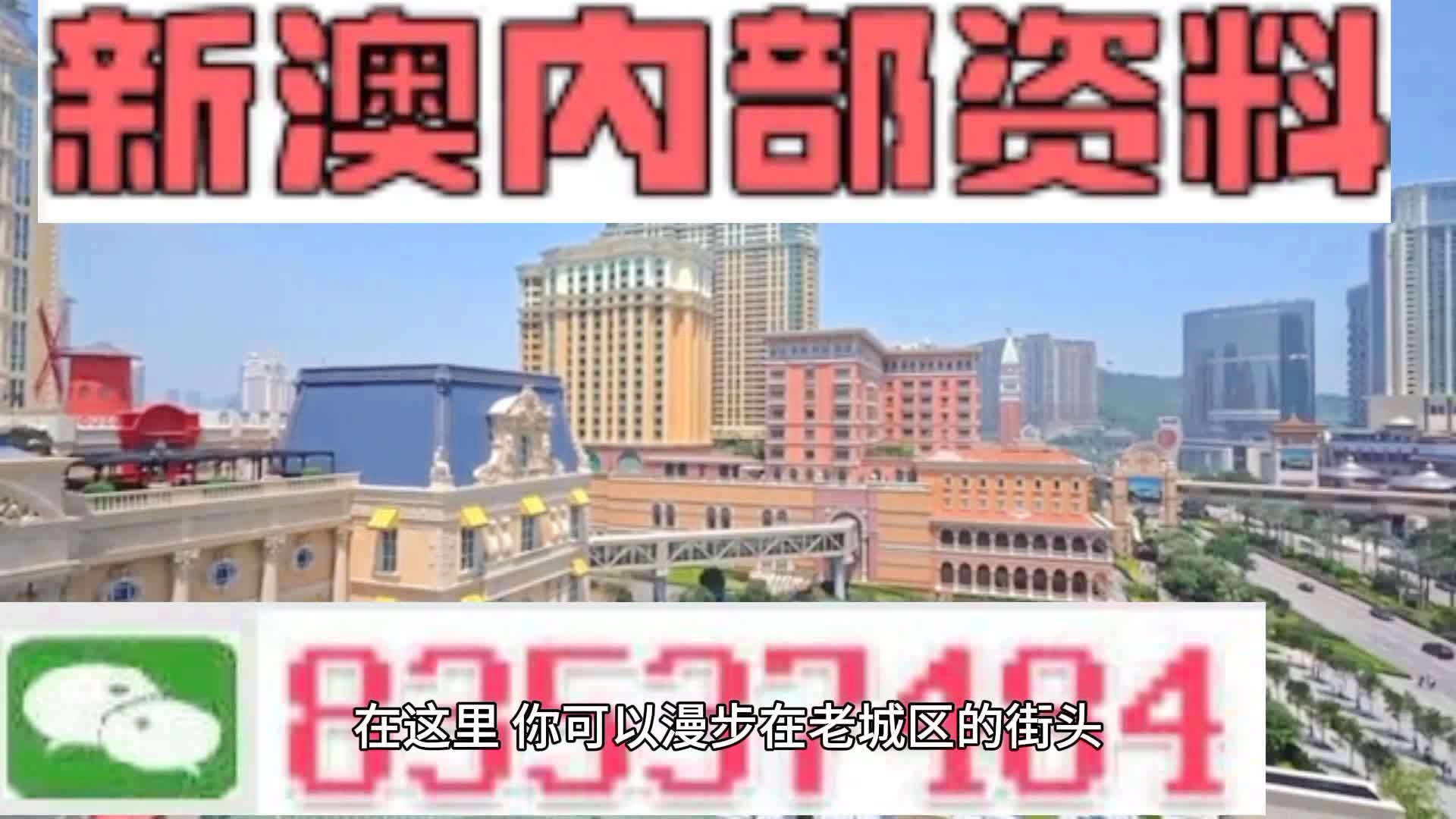 新澳门精准24码期期中特全年资料公开|精选解释解析落实