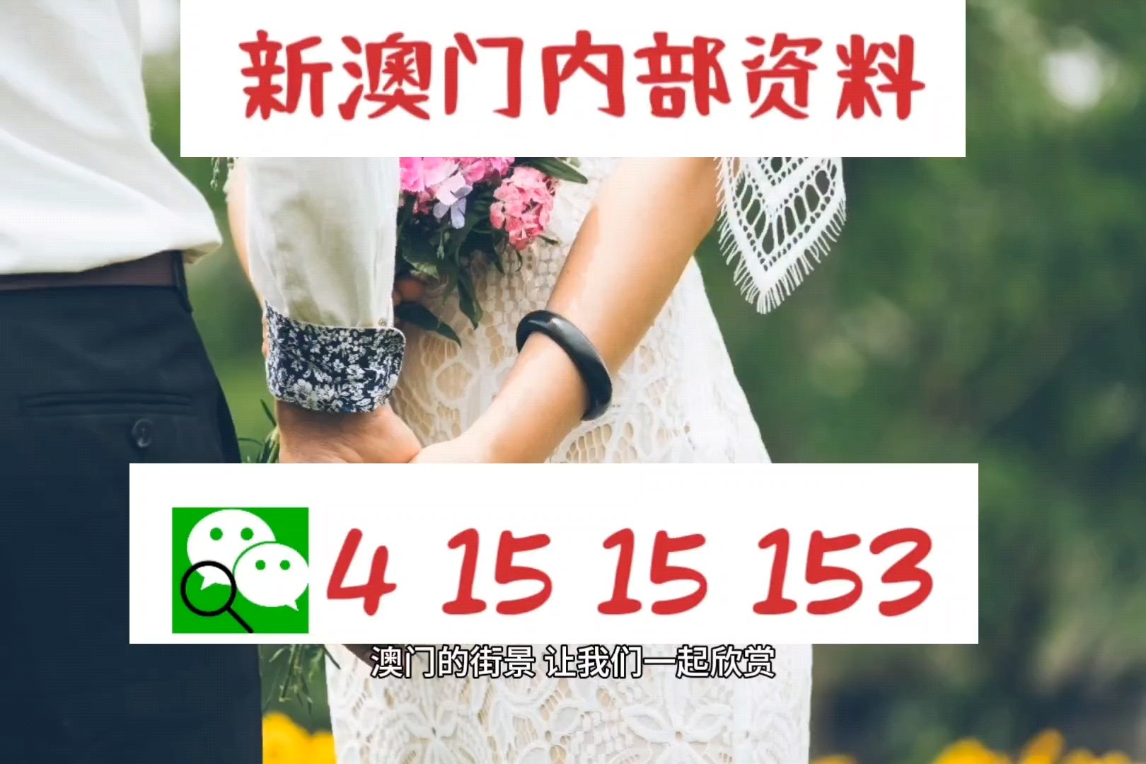 澳门今天晚上特马开什么|全面贯彻解释落实