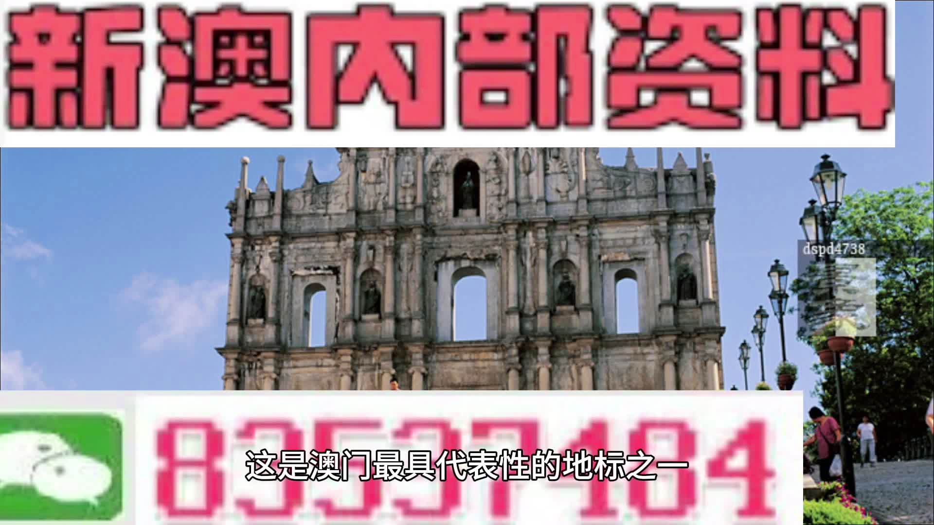 2025新澳正版免费资料的特点|词语释义解释落实