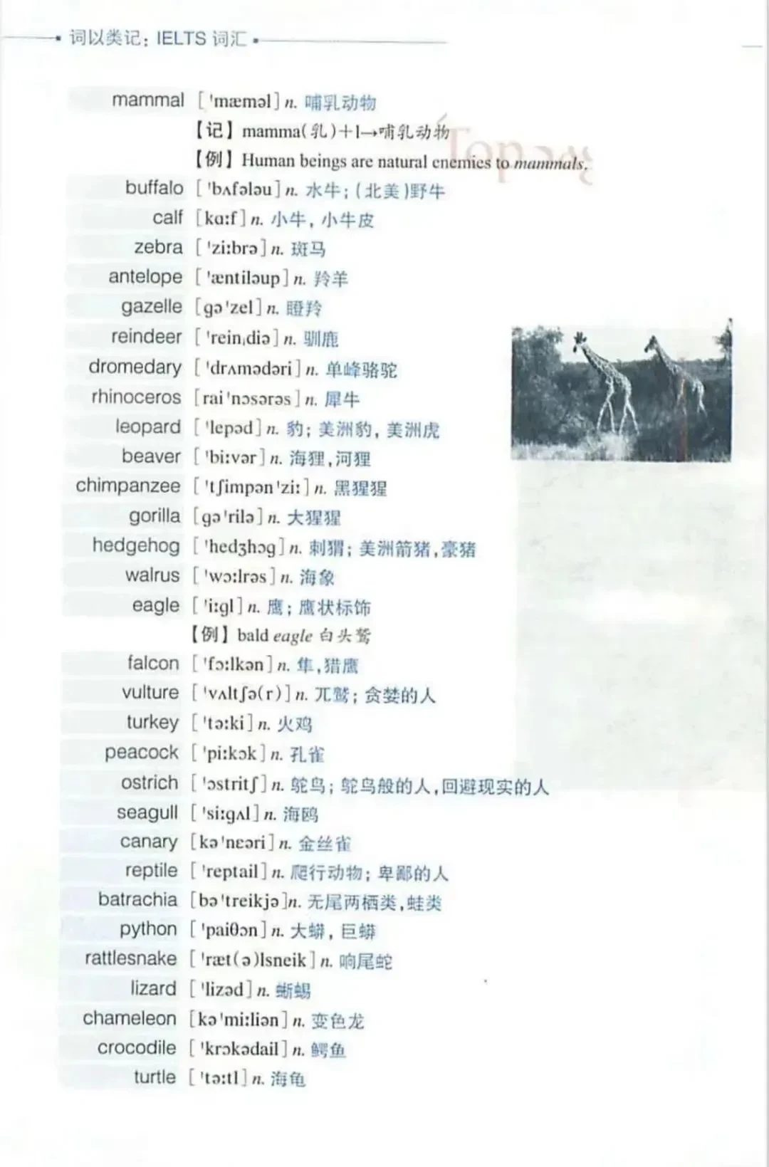 资讯 第262页