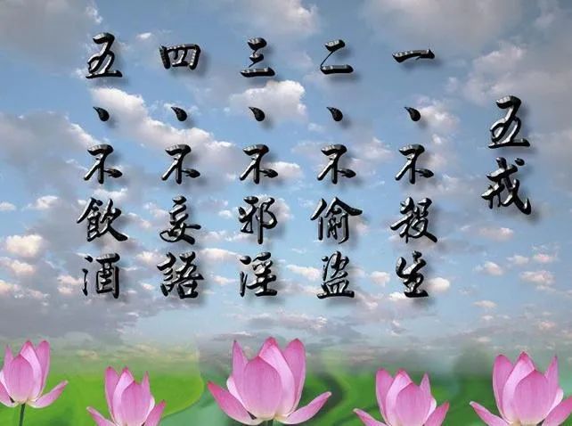 新闻 第262页