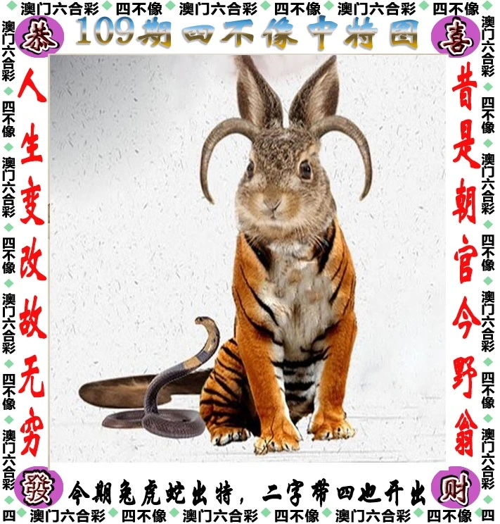 精准四不像必中一肖图|词语释义解释落实