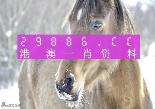 资讯 第254页