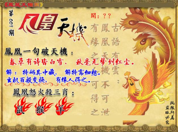 火凤凰精选攻略:新奥门特免费资料宝典|词语释义解释落实