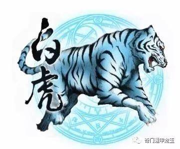 快评 第231页