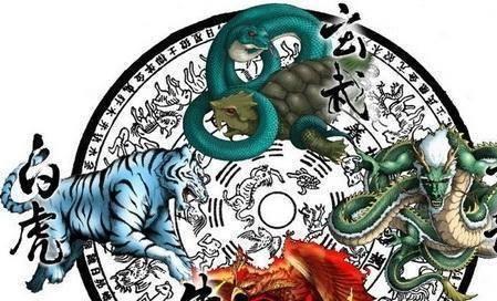 澳门白虎玄机精准玄武|精选解析解释落实