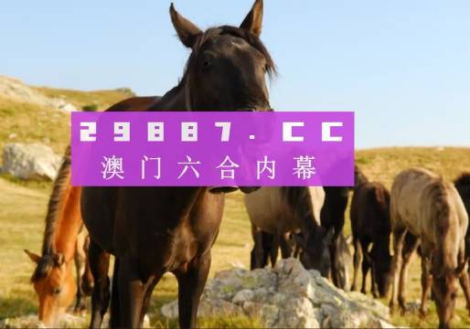 资讯 第232页
