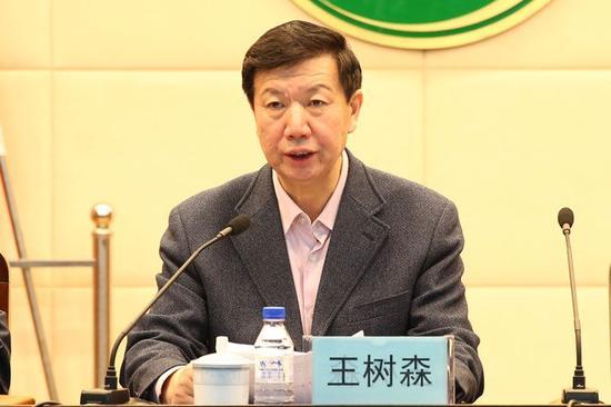吉林省王树森最新消息