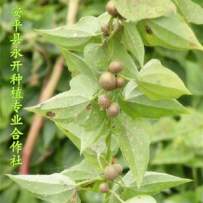 新闻 第230页