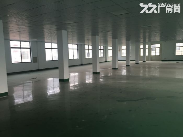 慈溪坎墩住房出租最新