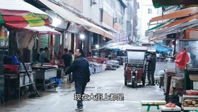 糯垌四灵公路最新进展