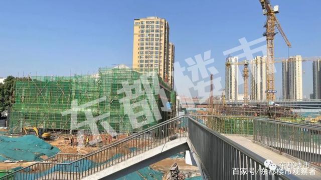 洛阳市道北最新消息