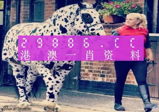 新闻 第208页