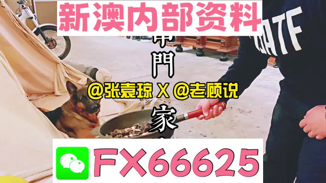 管家婆2023正版资料大全,管家婆2023正版资料大全，探索其特点与价值