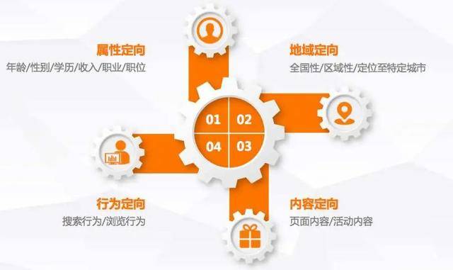 澳门王中王100精准数据解读,澳门王中王100精准数据解读，探索数据与命运的交集