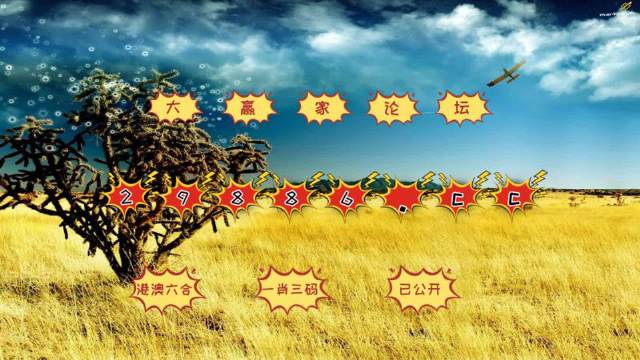 4949澳门天彩艺术全年免费资料,澳门天彩艺术，全年免费资料的探索与赏析（4949期）