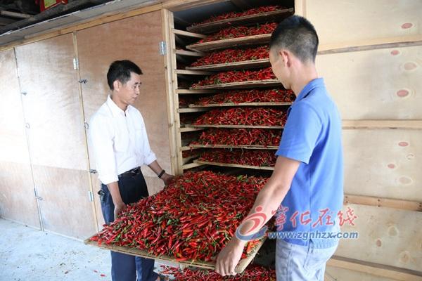 王中王免费资料大全中奖技巧,王中王免费资料大全与中奖技巧探索