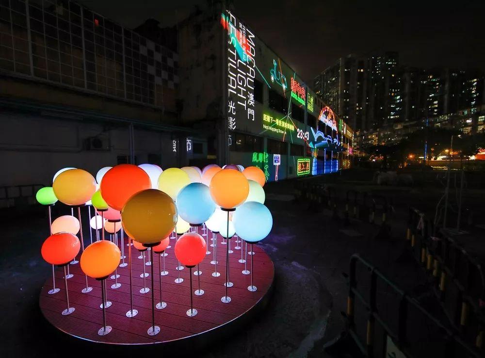 2025澳门精准跑狗图,探索未来，澳门跑狗运动与精准跑狗图在2025年的展望