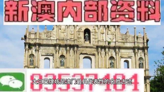 新澳门出今晚最准确一肖,新澳门出今晚最准确一肖——探索澳门文化中的生肖预测魅力