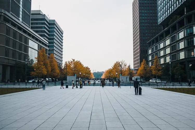 新澳2025最新资料大全,新澳2025最新资料大全，深度解析与前瞻