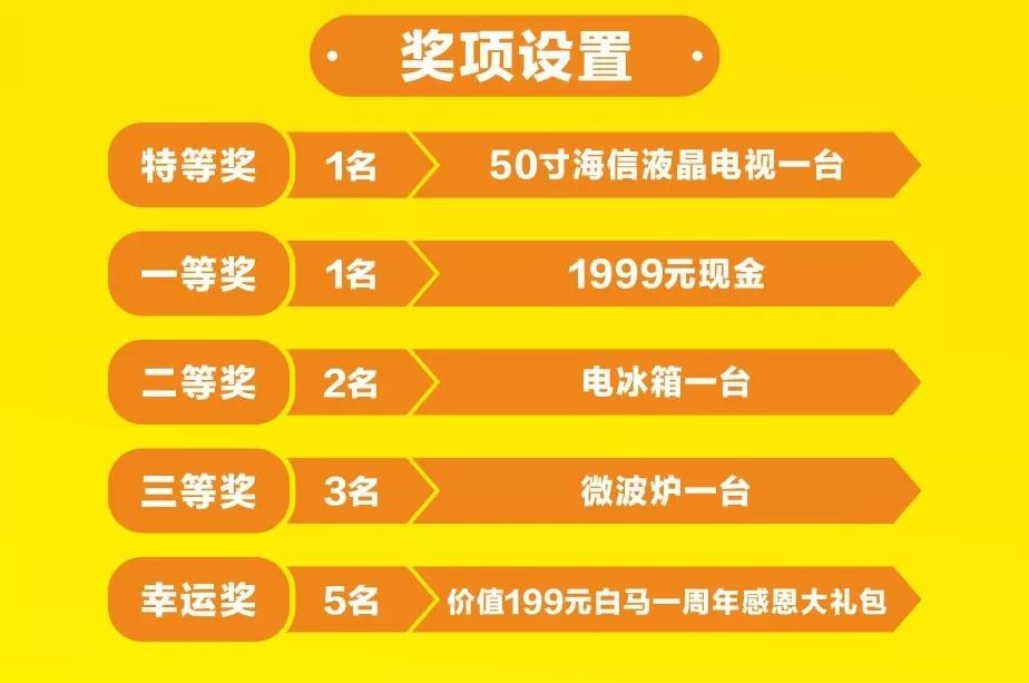 今天澳门特马开的什么波绝,澳门特马波绝揭秘，今日开波背后的故事