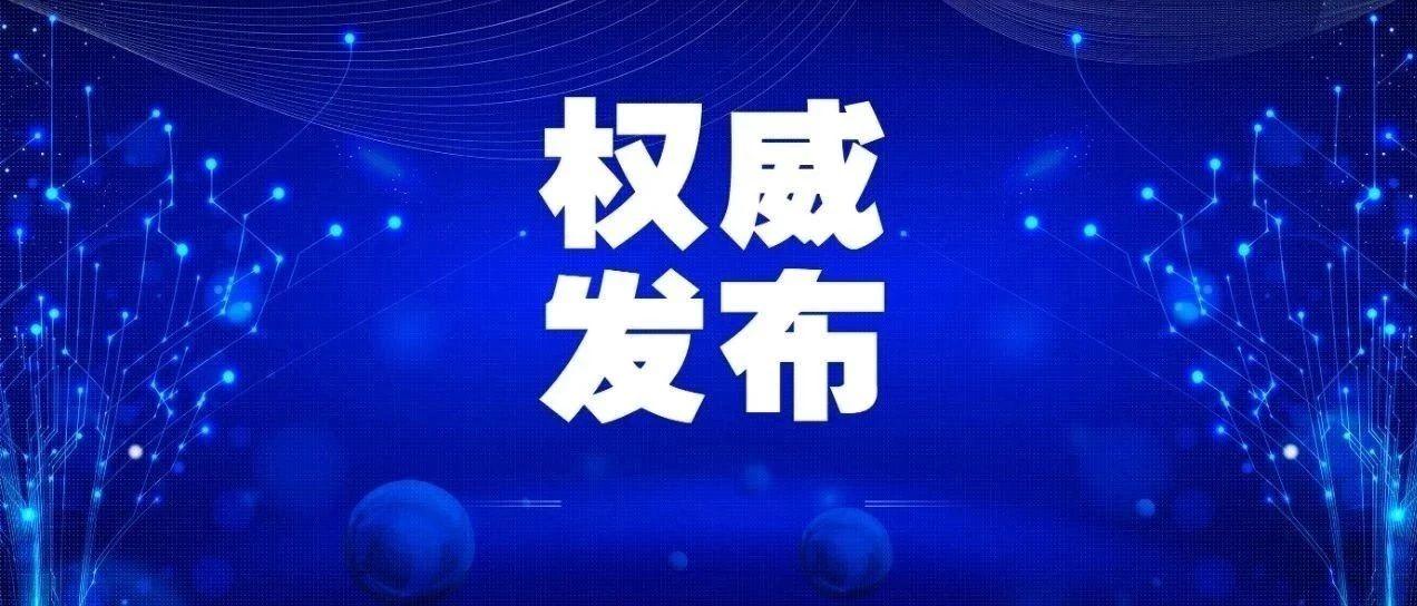 新澳2025正版资料,新澳2025正版资料，探索与解读