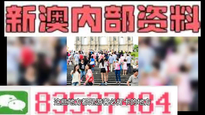 新澳最精准免费资料大全298期,新澳最精准免费资料大全298期详解