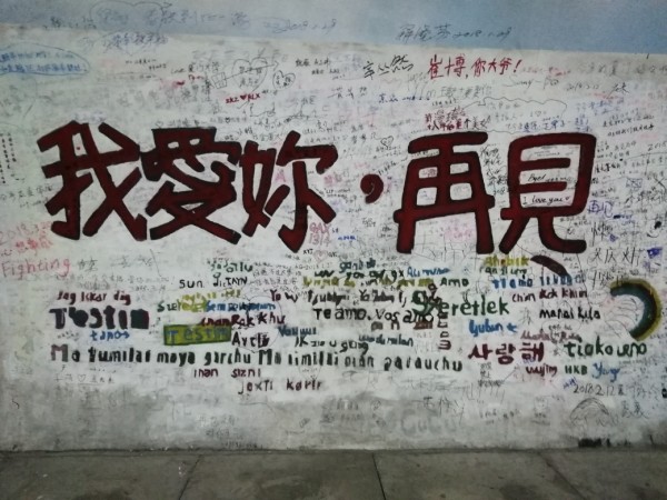 2025年天天开好彩大全,迈向2025年天天开好彩的奇妙旅程