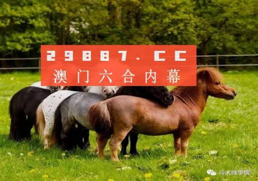 白小姐大前正版四不像一肖图,白小姐大前正版四不像一肖图，揭秘与探讨