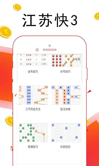 494949澳码今晚开什么123,澳码今晚开什么，探索彩票背后的秘密与故事