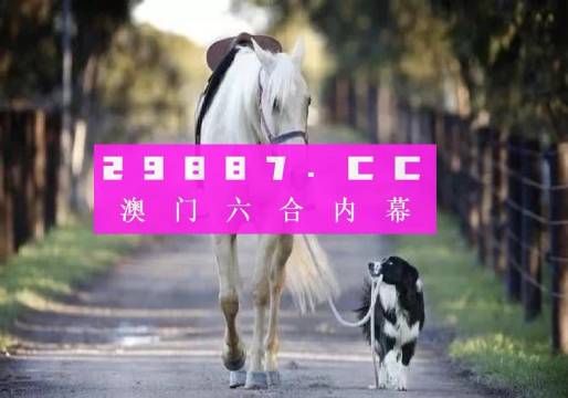 澳门一肖一码最准一码,澳门一肖一码最准一码，探寻背后的秘密与真相