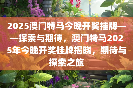 2025年澳门特马今晚,探索澳门特马的世界，2025年的今晚