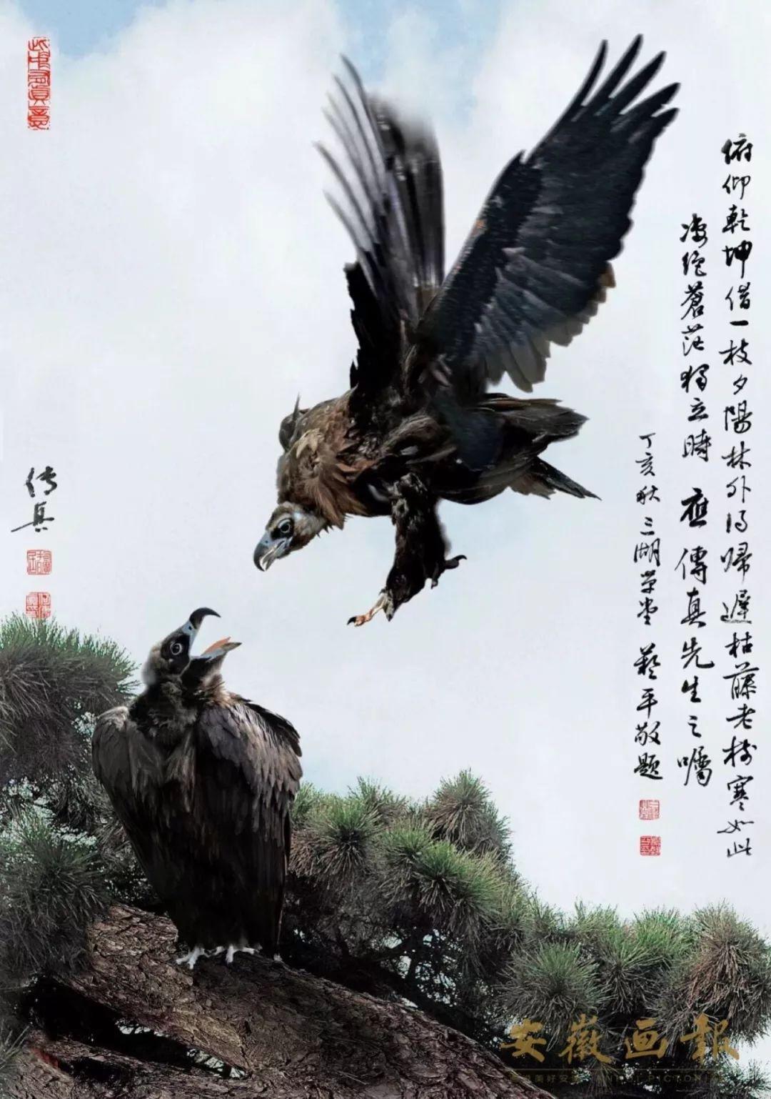 澳门正版传真内部传密,澳门正版传真内部传密，揭秘与探索