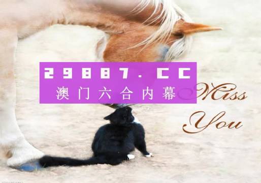 204年澳门免费精准资料,澳门免费精准资料，探索与启示（204年观察）
