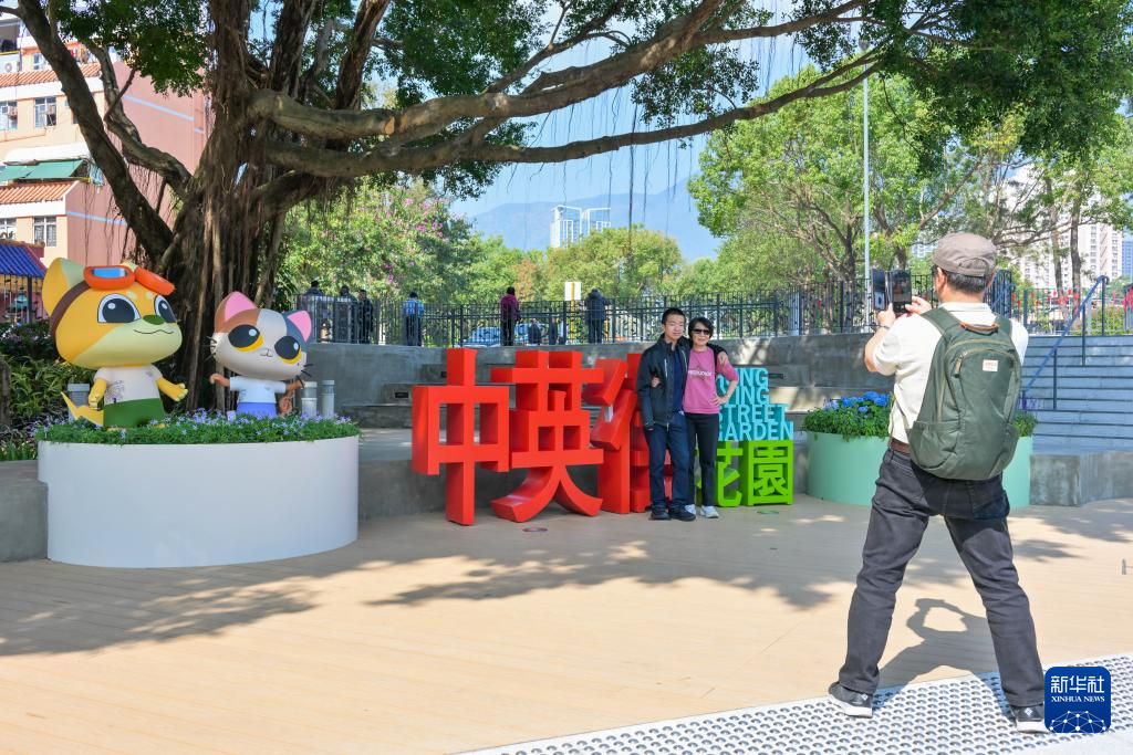 香港期期准正版资料大全,香港期期准正版资料大全，深度探索与实际应用