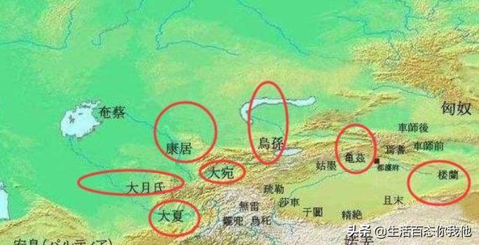 三十六码中特期期准,三十六码中特期期准，揭秘彩票预测的神秘面纱