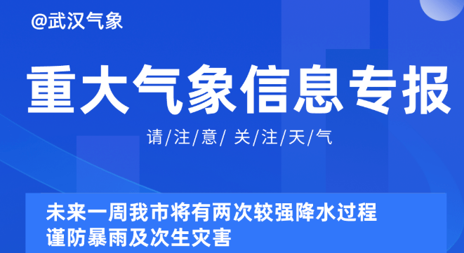 2025新奥精准正版资料大全,探索未来，2025新奥精准正版资料大全深度解析