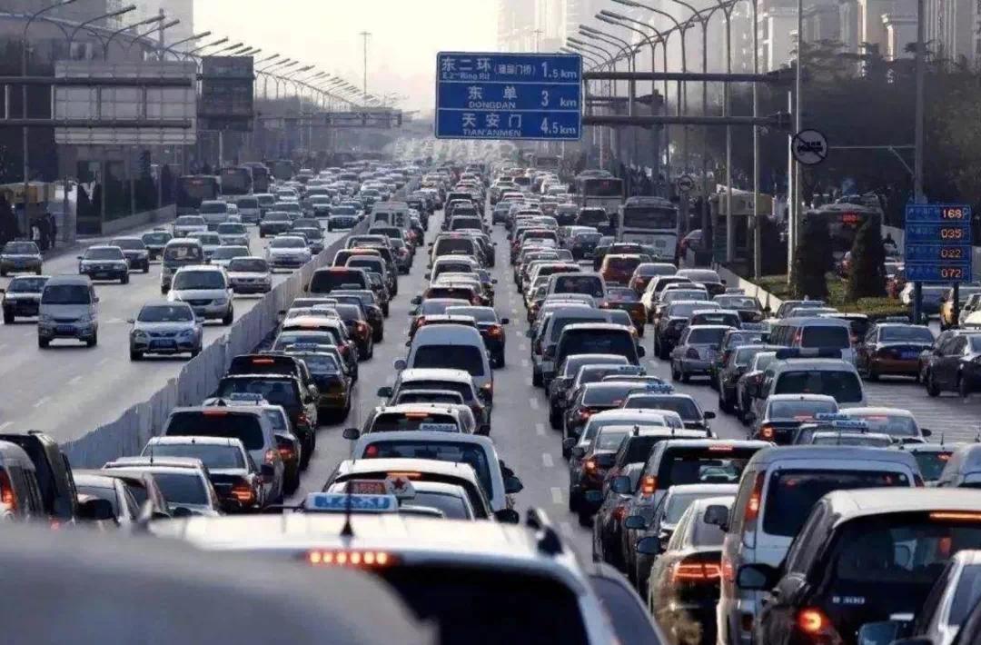2025年四不像图片,探索未来，2025年四不像图片的魅力与影响