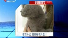 2025四不像正版最新版本,探索未来，揭秘2025四不像正版最新版本