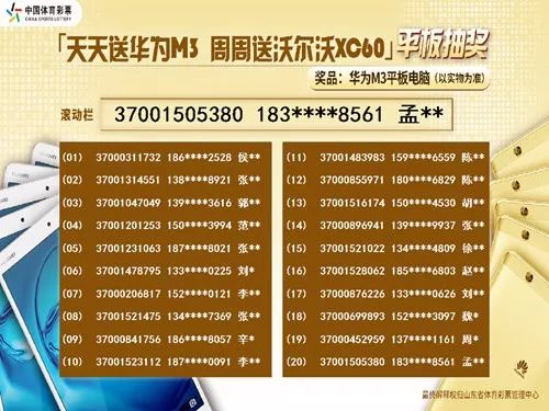 二四六天天彩资料大全2013年,二四六天天彩资料大全2013年——回顾与解析