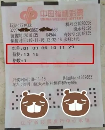 澳门一码一肖一特一中,澳门一码一肖一特一中，探寻幸运的秘密