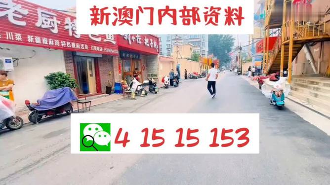 新澳门天天开好彩600库大全,新澳门天天开好彩600库大全，探索与赏析