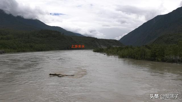 快评 第62页
