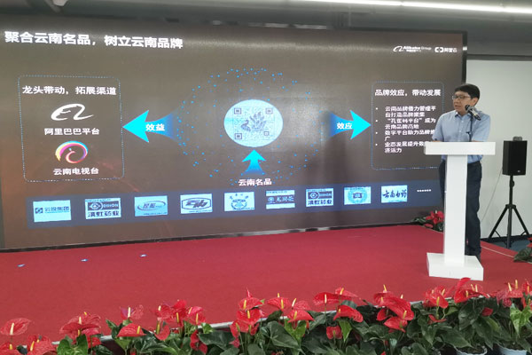 澳门码管家婆一肖一码,澳门码管家婆一肖一码，揭秘与探索