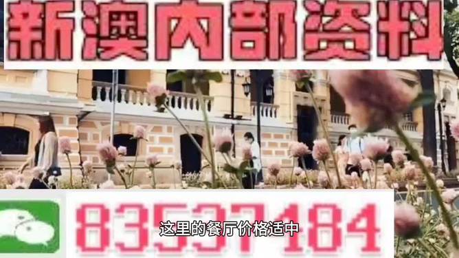新澳门出今晚最准确一肖,新澳门出今晚最准确一肖，探寻幸运之神的秘密