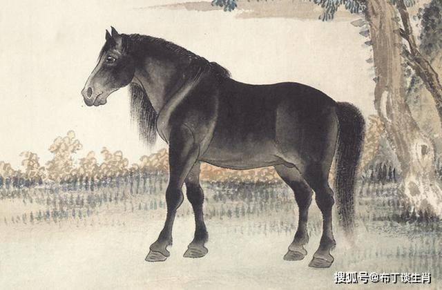 快评 第43页