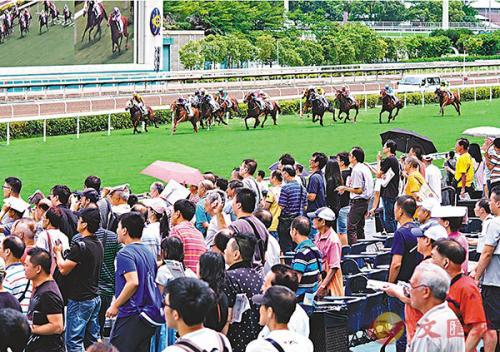 香港最准马会资料免费,香港最准马会资料免费，探索赛马运动的魅力与公开资料的重要性